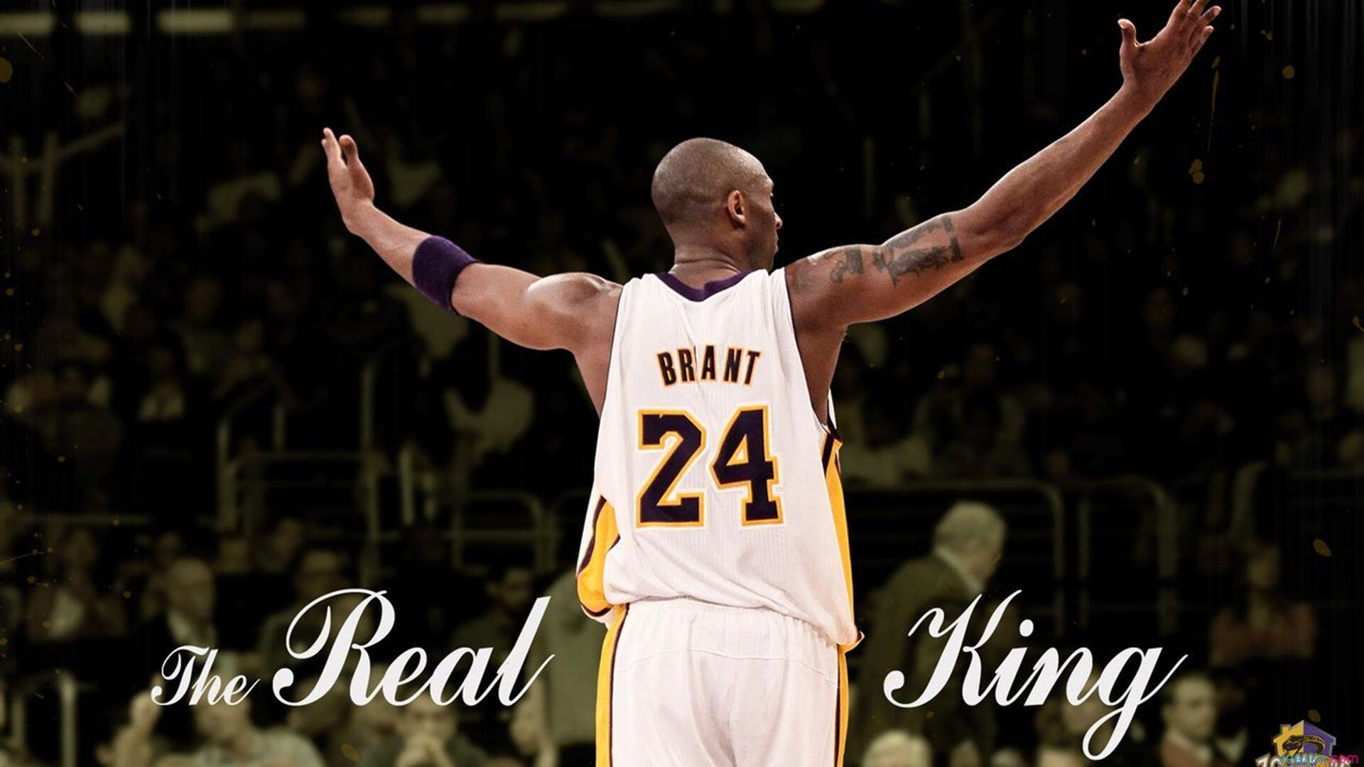 莎拉波娃重返赛场，出色发挥首场状态出色，G2观众沸腾！全场沸腾不已